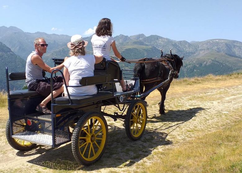 Rit met paard en wagen met Angaka Nordic Village