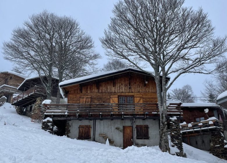 Familiechalet op de piste