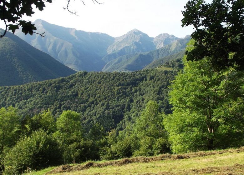 Tour du Mail des Morères