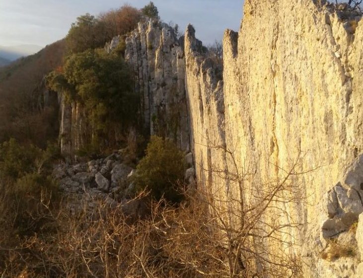 Roca de las abejas