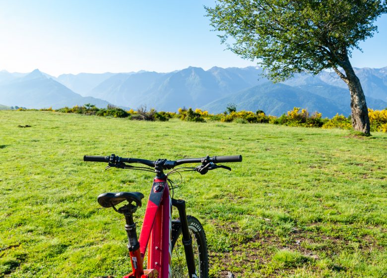 Bicicleta Chioula