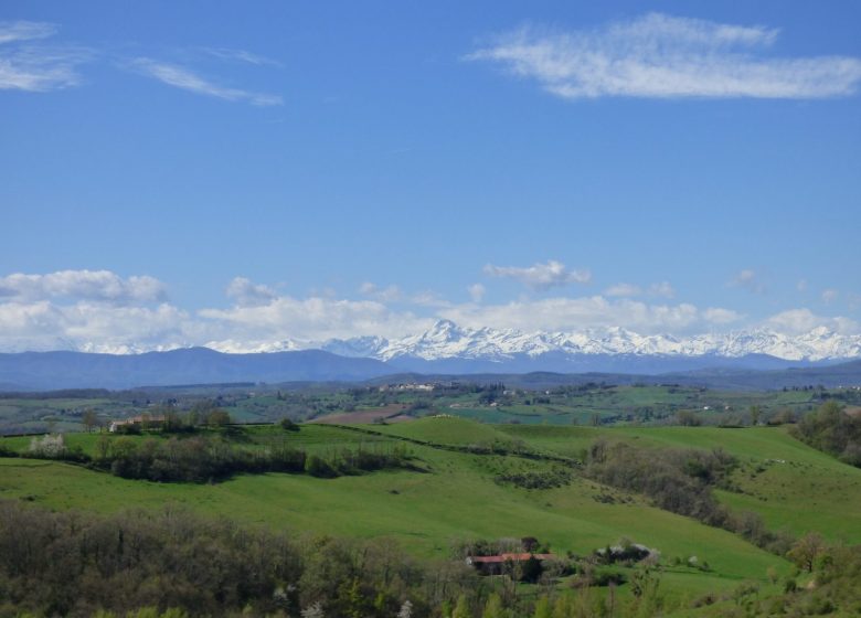 Cammina di collina in collina