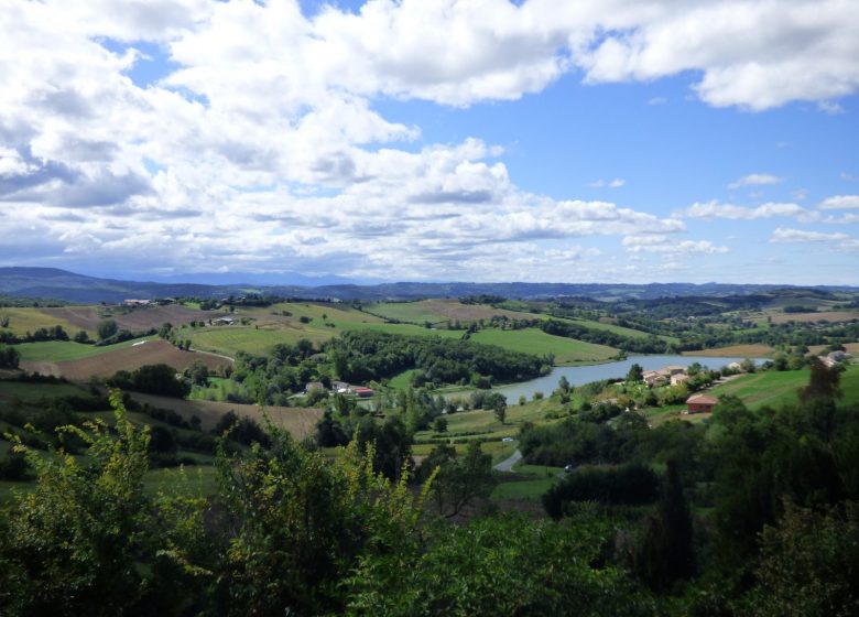 Cammina di collina in collina