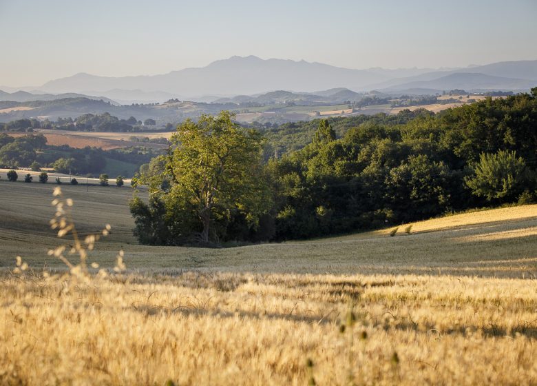 Balade sur les hauteurs de Camarade