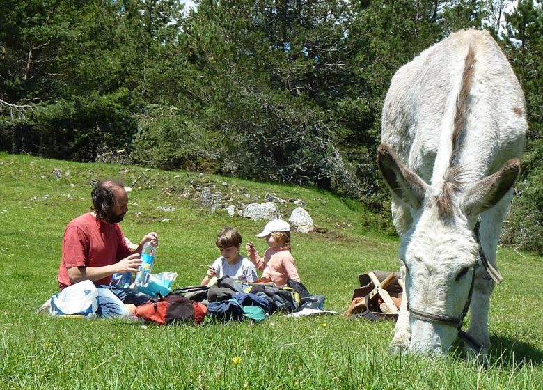 Ezel boerderij