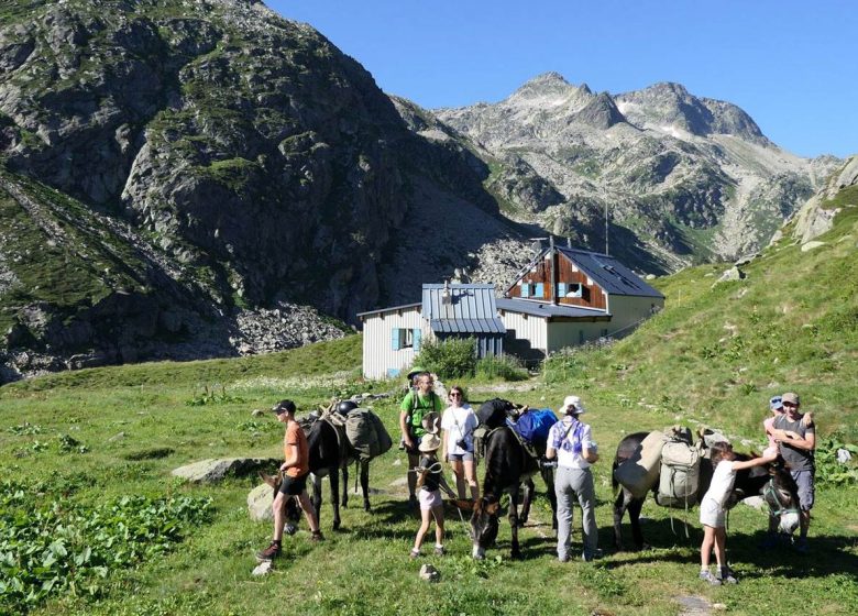 La Ferme aux Anes