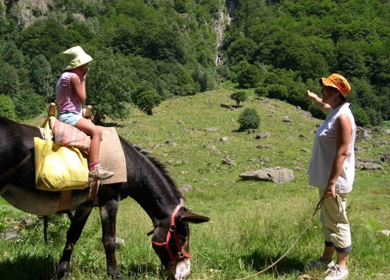 Escursione con La Ferme aux Anes