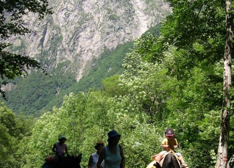 Randonnée avec La Ferme aux Anes