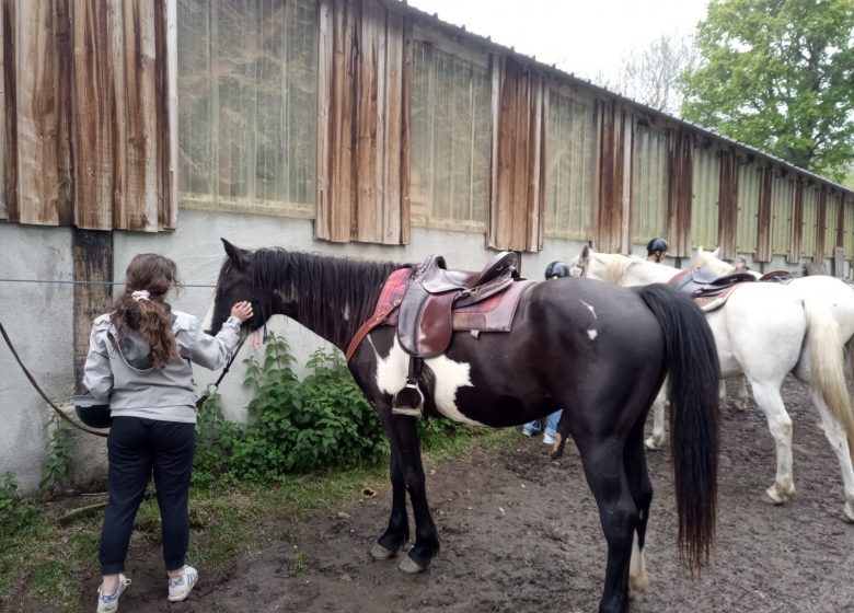 La granja de caballos de Thomas y Elsa