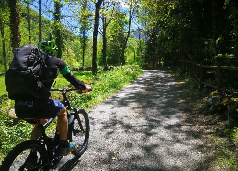 Vélo ou trottinette électrique