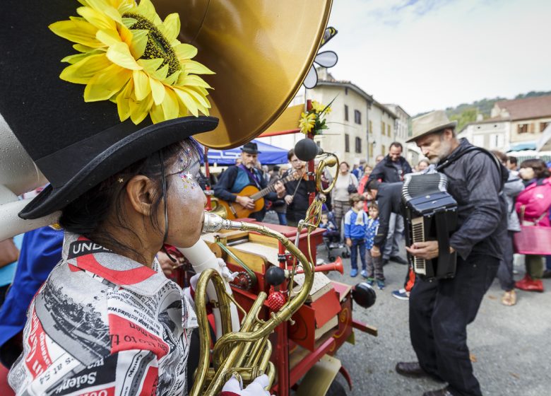 Festa de la Figa