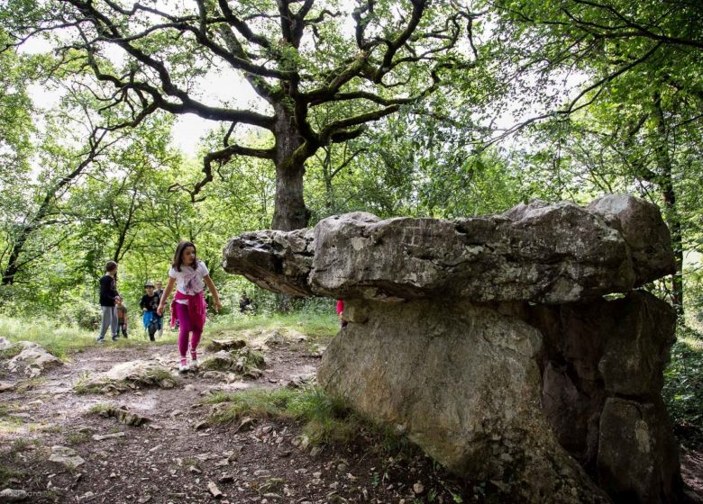 Les dolmens