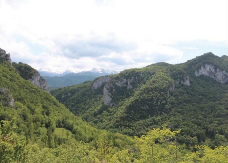 Les Gorges de la Pereille