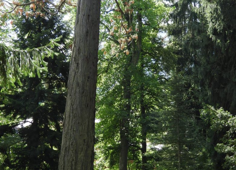 Le parc du Teich