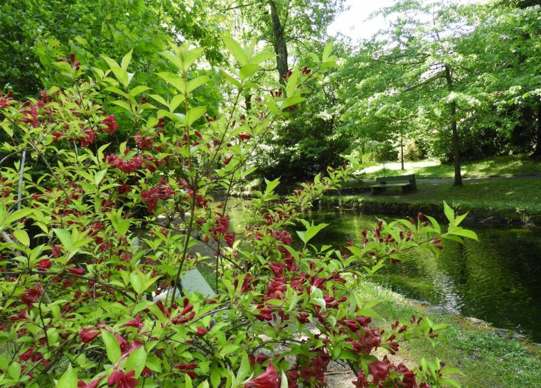 Le parc du Teich