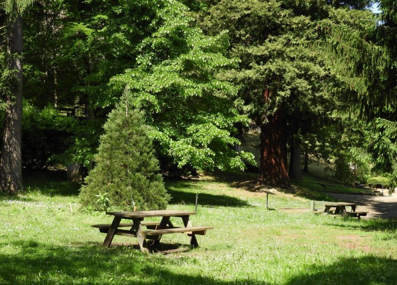 Le parc du Teich