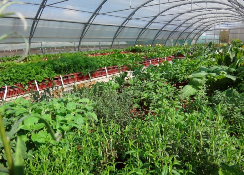 Biologisch klaar om te planten