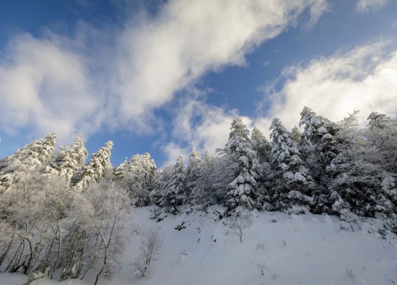 Col des Marrous