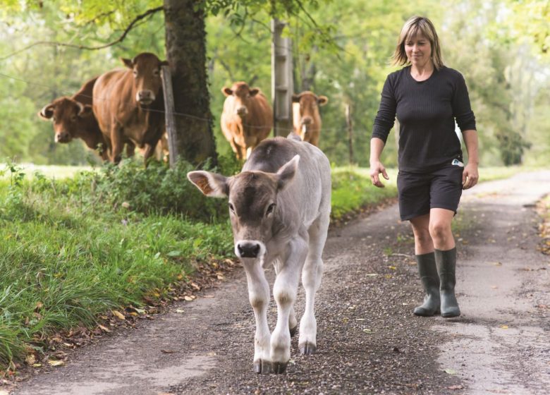 La ferme du Soulé