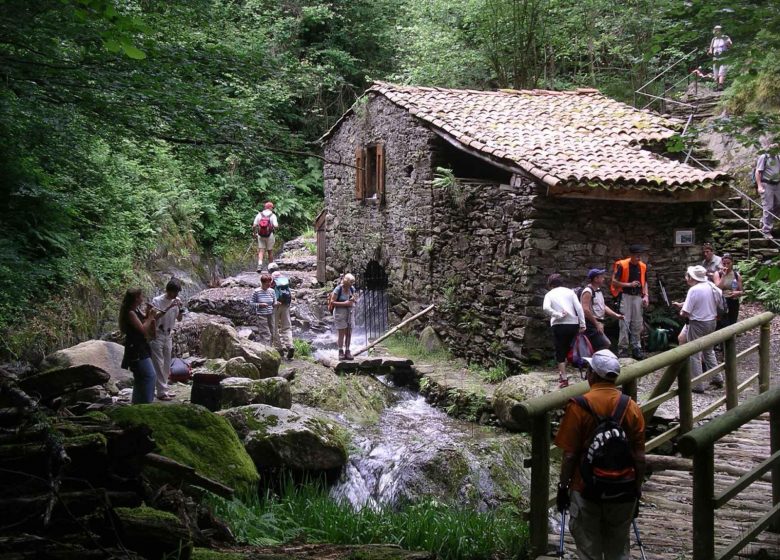 Le moulin de la Laurède