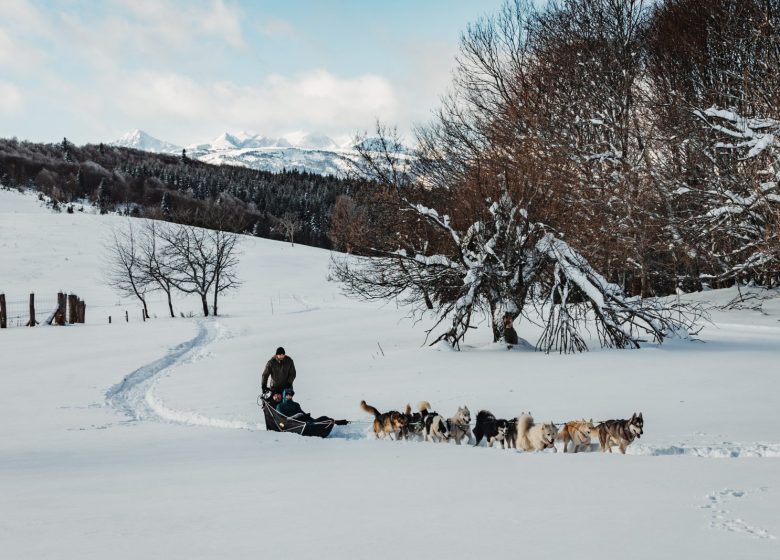 Baptême en grand attelage avec Terre Sauvage