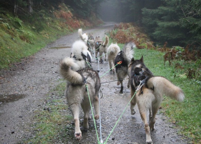 Battesimo in una grande squadra con Terre Sauvage