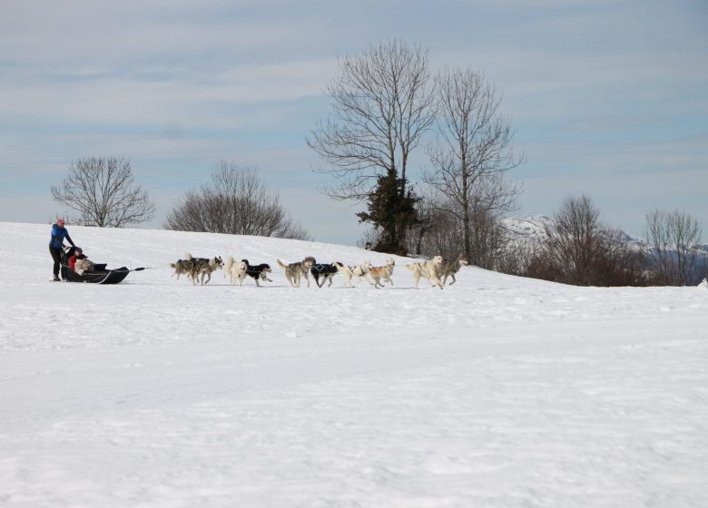 Battesimo in una grande squadra con Terre Sauvage