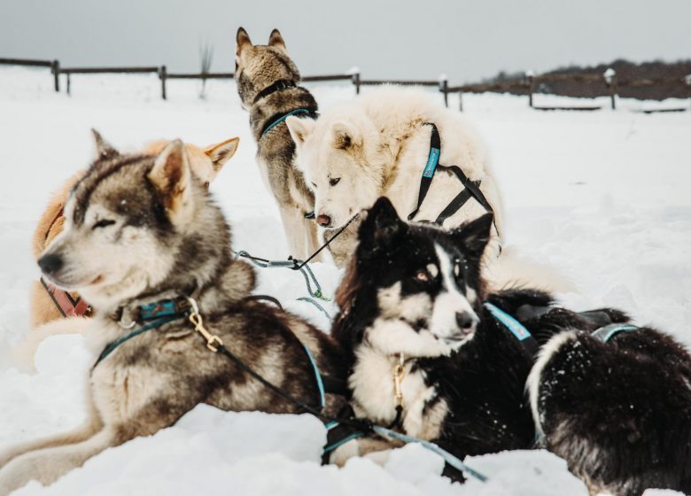 Battesimo in una grande squadra con Terre Sauvage