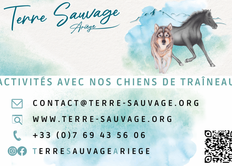 Baptism in a large team with Terre Sauvage