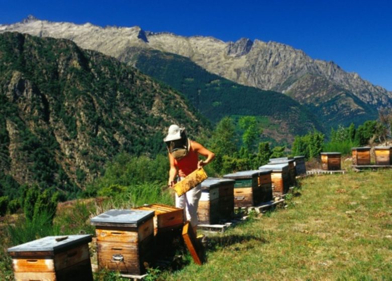 The Apiary of Montcalm