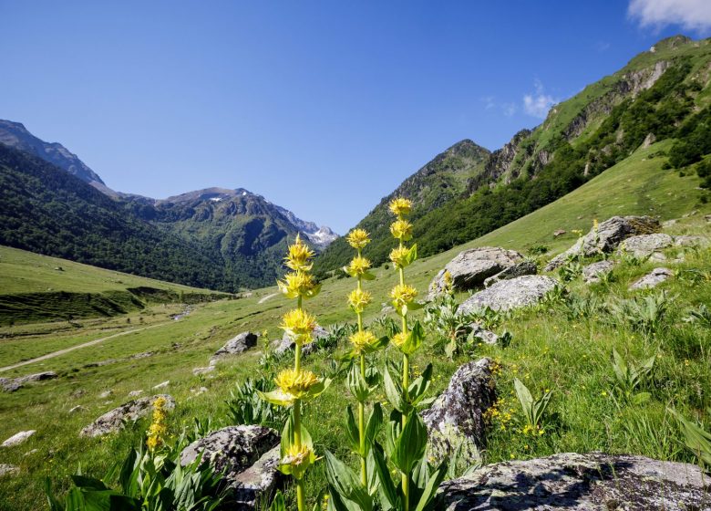 Reserva Nacional de Vida Silvestre de Orlu