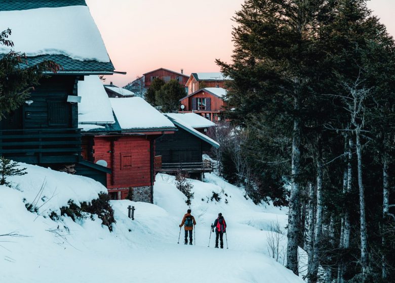 La font llaça amb raquetes de neu