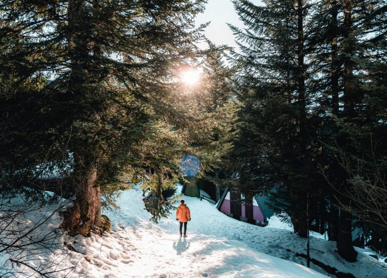 The fountain loops on snowshoes