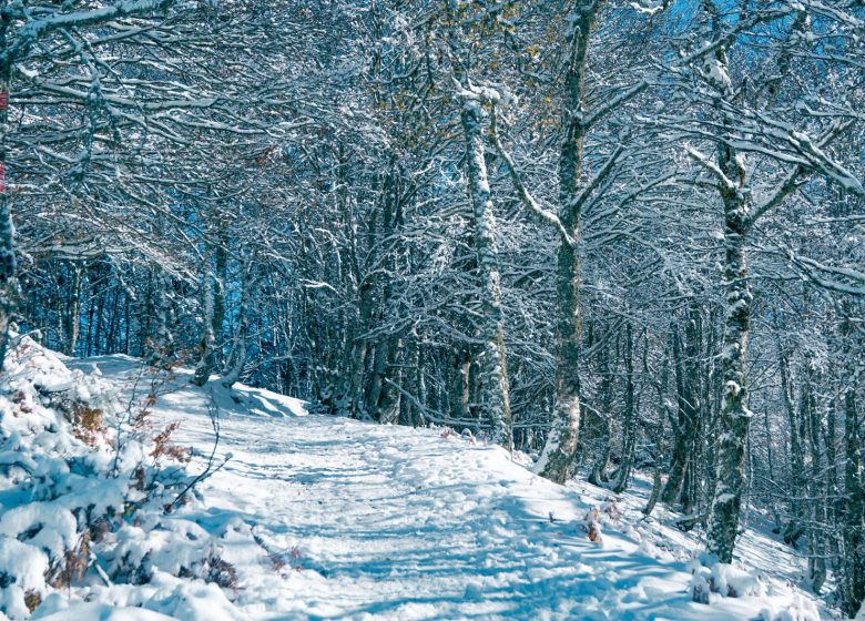 Cap du Carmil con le racchette da neve