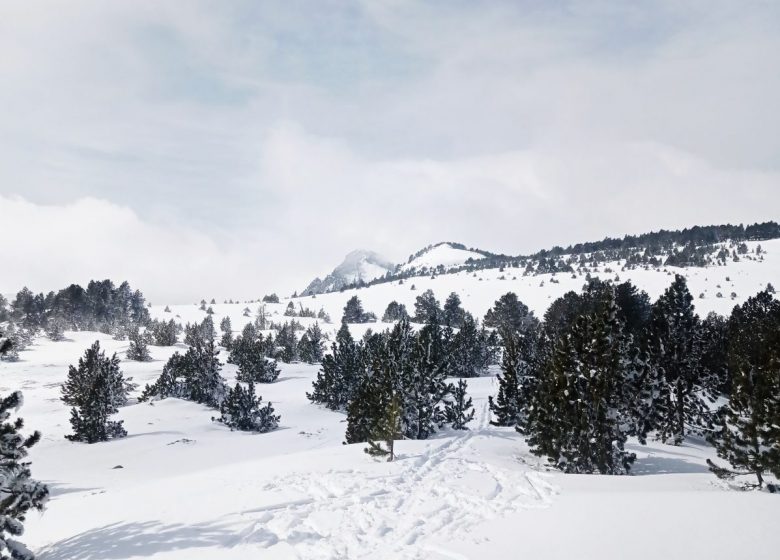 Toerskiën in het resort van Mijanès-Donezan