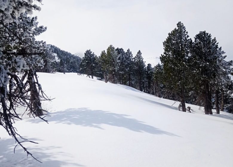 Ski touring at the Mijanès-Donezan resort