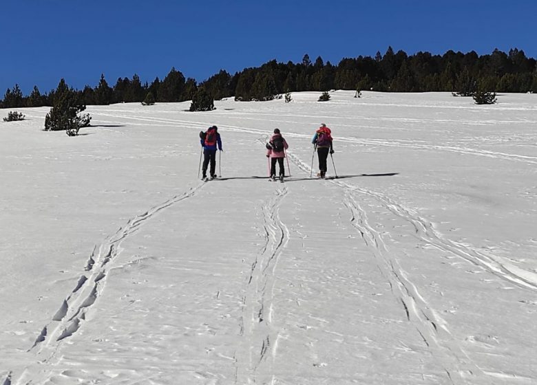 Esquí de muntanya a l'estació de Mijanès-Donezan