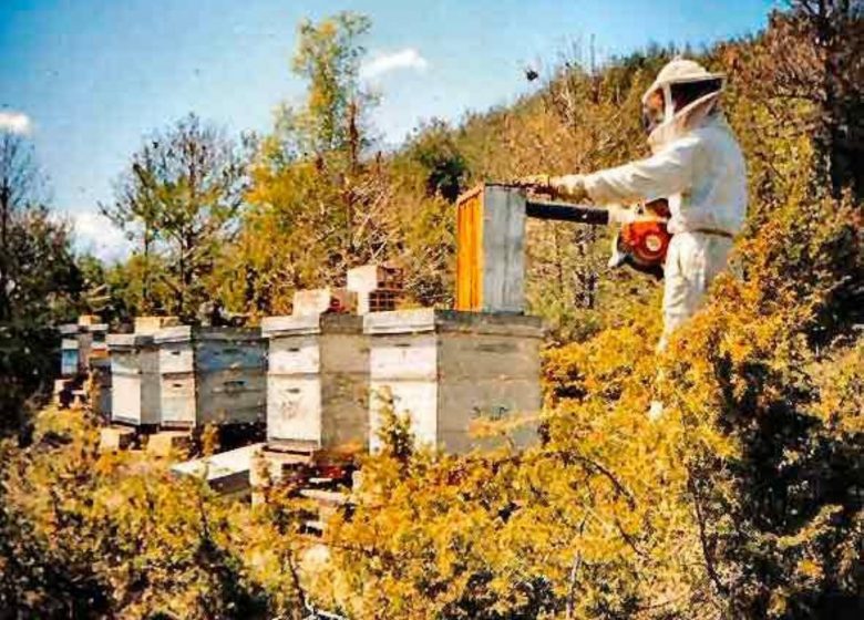 el granero de abejas