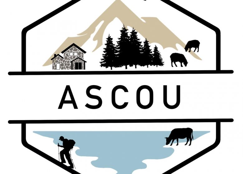 Beginner area: skiing at Ascou station