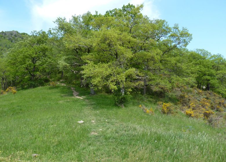 Balade du Pech de Montgailhard
