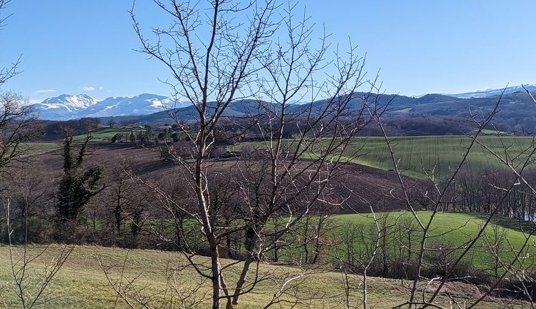 Les barraques de Sainte-Camelle Rossignol