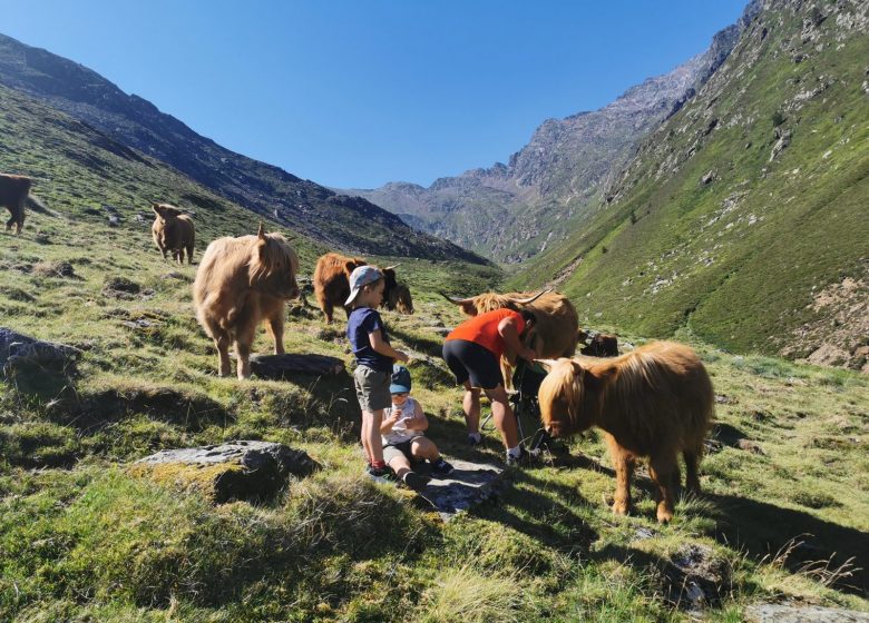 Ferme du Far