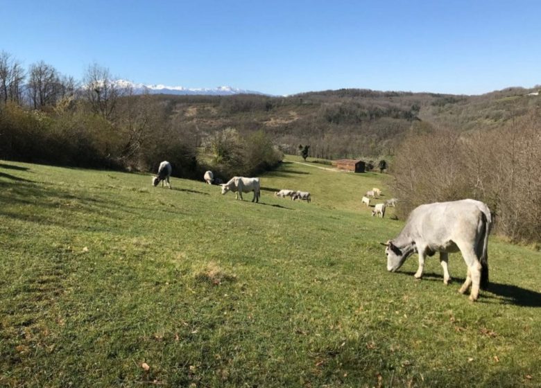 La Ferme de la Besse