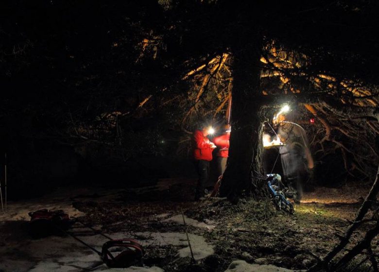 Raquetes de neu amb l’oficina de guies dels Pirineus Ariègeoises