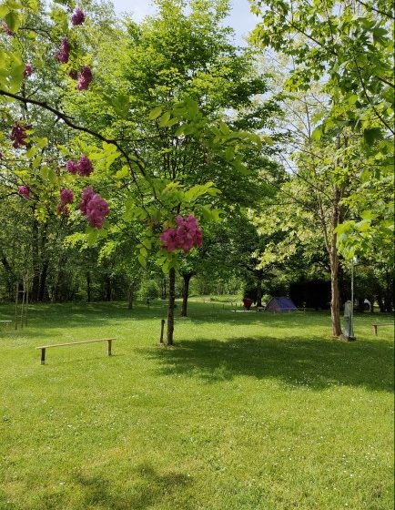 Camping Le Petit Pyrénéen