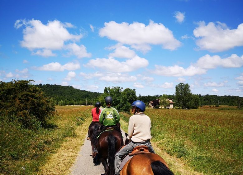 Natura caballo