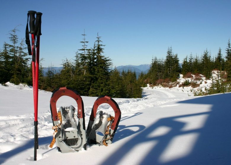 Snowshoeing