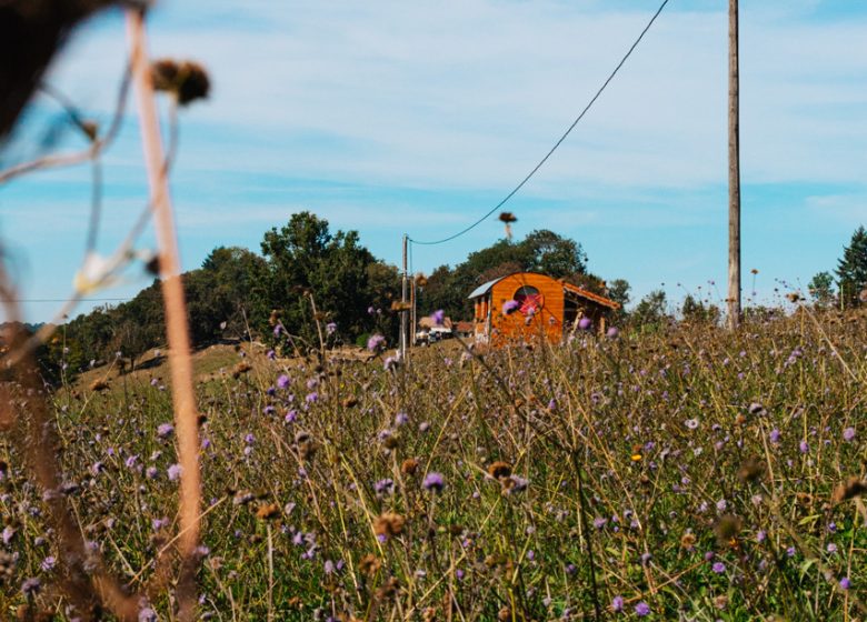 La cabaña de aquí y de otros lugares