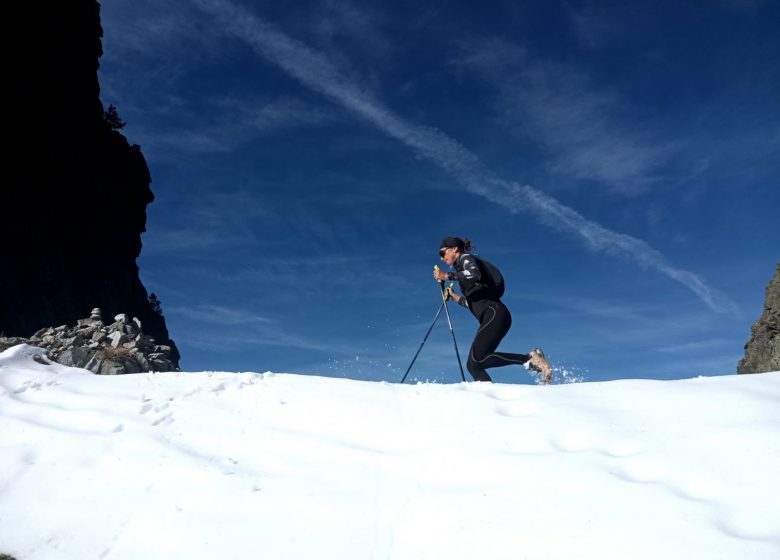 Pyreneeën Tours