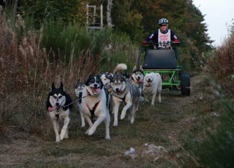 Cani-Kart avec Husky évasion